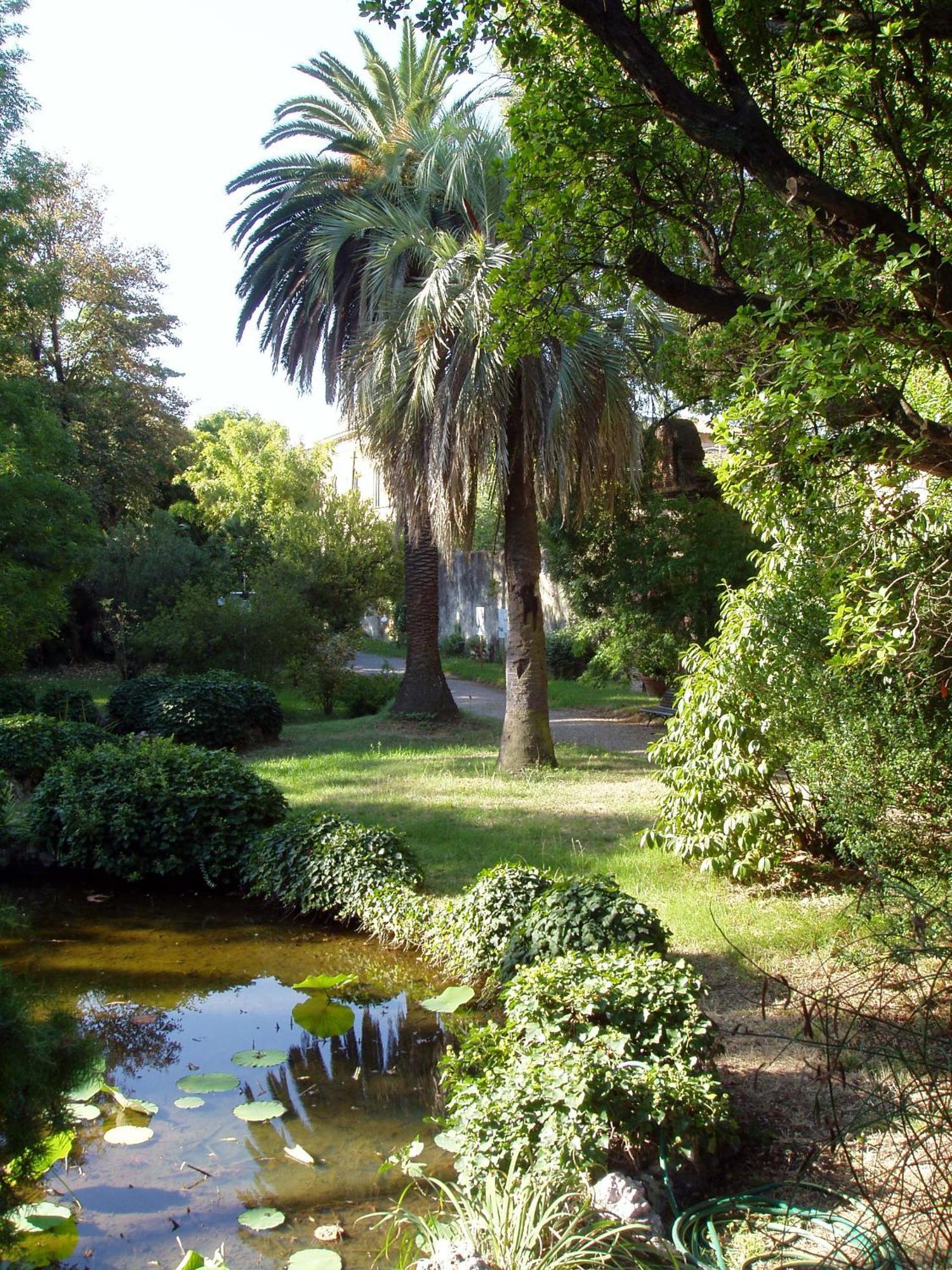 דירות כרייסטצ'רץ' Hagley Park Hidden Gem מראה חיצוני תמונה